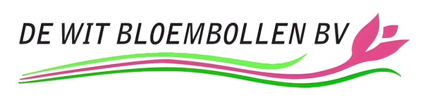De Wit Bloembollen